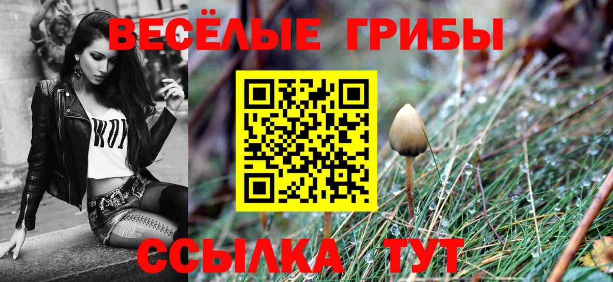 Галлюциногенные грибы Psilocybe Скопин