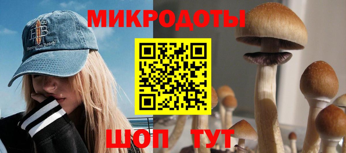 Скопин  Псилоцибиновые грибы мухоморы  продажа наркотиков  Вход с VPN  Псилоцибиновые грибы Magic Shrooms 